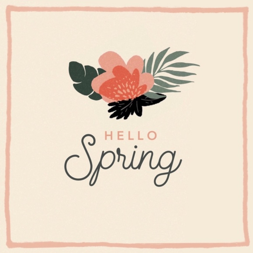 🌷Spring Sale 🌷